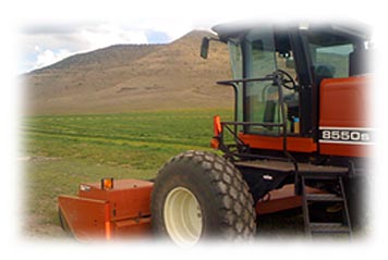 Salazar Farms